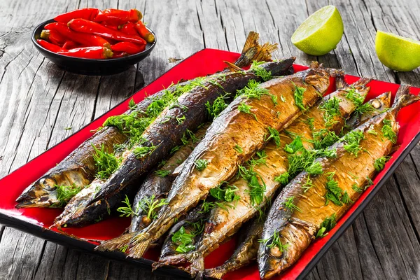 Baked saury on a red rectangular dish , close-up top view — Stock Photo, Image