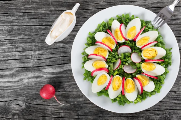 Весенний лук, яйца, салат из редиса, вид сверху — стоковое фото