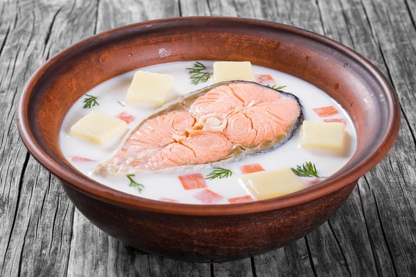 Salmon sup dengan sayuran, susu dan dill — Stok Foto