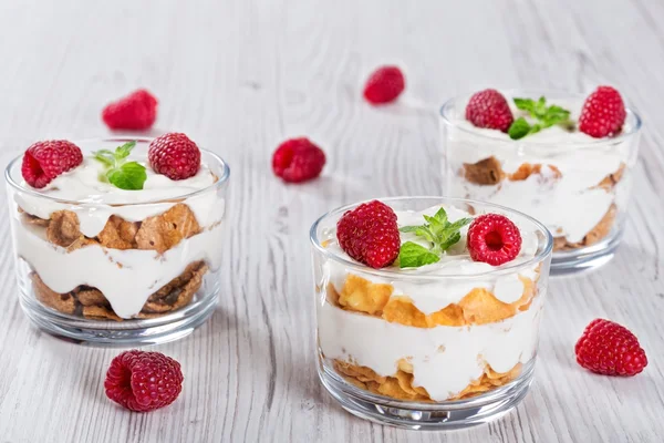 Hausgemachter Joghurt in Tassen mit Vollkornflocken — Stockfoto