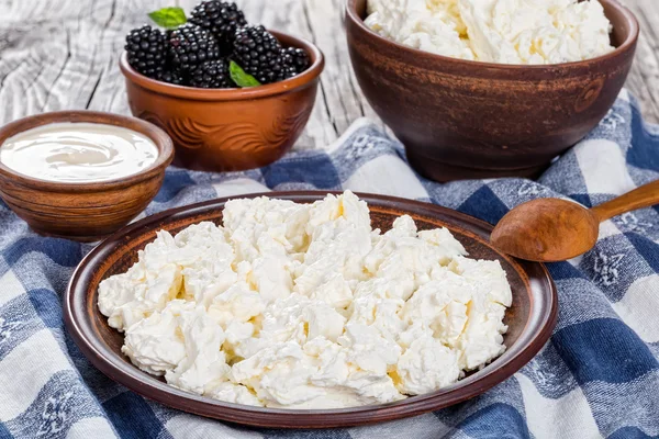 Queijo cottage em prato de barro, creme azedo e dewberry em tigelas — Fotografia de Stock