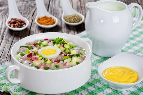 Meat, greens and vegetables cold summer soup — Stock Photo, Image