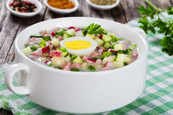 Vlees, greens en groenten koude zomer soep — Stockfoto