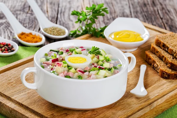 Carne, verdes e verduras sopa de verão fria — Fotografia de Stock