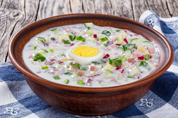 Carne, verduras y verduras frías Sopa sin cocinar con yogur griego —  Fotos de Stock