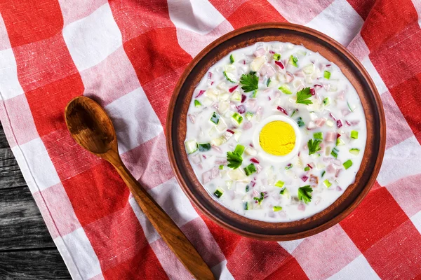 Chciken, verduras y verduras frías Sopa sin cocinar con yogur griego —  Fotos de Stock