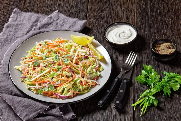 Salade Salade Chou Carottes Oignons Rouges Printemps Persil Avec Vinaigrette — Photo