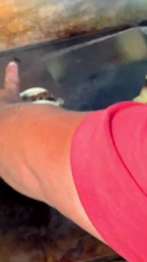 Bir insan spatula kullanarak küçük bir taco 'yu ızgaranın üzerine katlar ve elini de hızlıca, tost gibi bitirir..