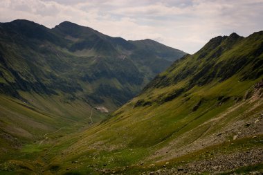 Dağ tarafı yeşil çimen, vadi ve küçük yol, Karpat Dağları Romanya ile