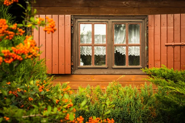 Jendela kotor dan jendela di rumah kayu dengan buah rowan kabur di bagian depan, pedesaan — Stok Foto