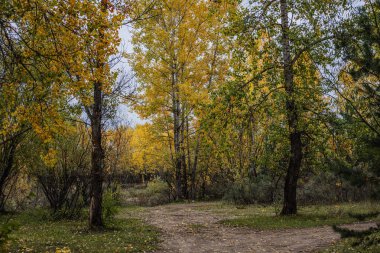  balıkçılık yolları, araba, su birikintileri, yağmur, balıkçılık, rüzgar