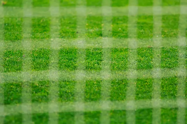 Zelená tráva prostřednictvím mřížky fotbalové brány — Stock fotografie