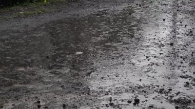 Çamurlu bir yüzeye düşen yağmur damlaları dalgalanmalar ve sıçramalar yaratarak yeryüzündeki doğal yağmurun sakin ama güçlü anını yakalar.