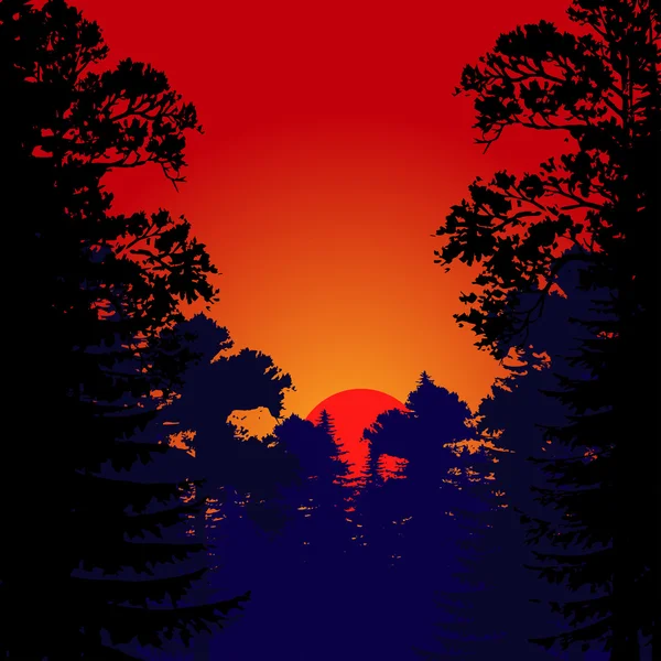 Ліс на заході сонця — стоковий вектор