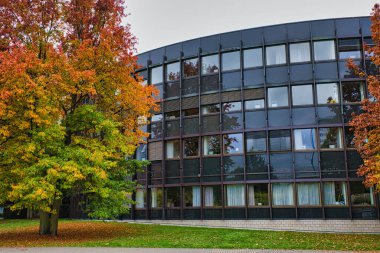 Fall Dsseldorf Almanya 'sında Çimenli Çimenlikteki Çimen Ağaçlarıyla çevrili Modern Eğri Ofis Binası Cephesi