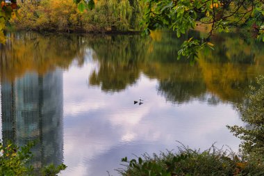 Sükunet Sonbahar Gölü Şehrinin Yükselişini Yansıtıyor Ve Dalgalı Ağaçlar Ördekler Yüzüyor Kısmen Bulutlu Gökyüzü Altında