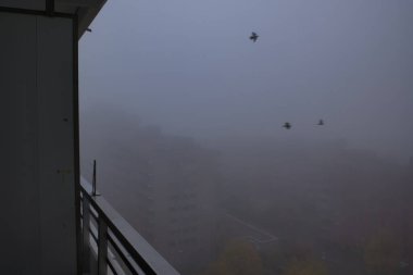 Sisli sabah şehri sonbaharda sisli kentsel binaların üzerinde uçan kuşlarla ufuk çizgisi