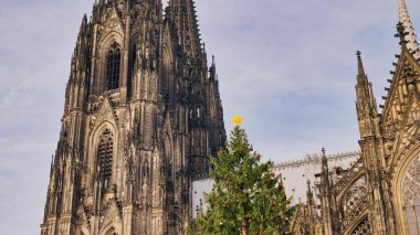 A beautiful Christmas tree decorated with ornaments stands near St. Vitus Cathedral, showcasing holiday spirit.