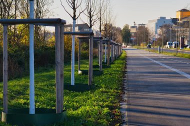 Neuss 'taki sakin bir patika, canlı yeşil bir çimenlikte yeni dikilmiş genç ağaçları gösteriyor. Güneş, aylaklar ve koşucular için huzurlu bir atmosfer yaratıyor..