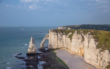 Etretat kayalarda üzerinde uçan martı. Düşük gelgit sırasında sakin deniz