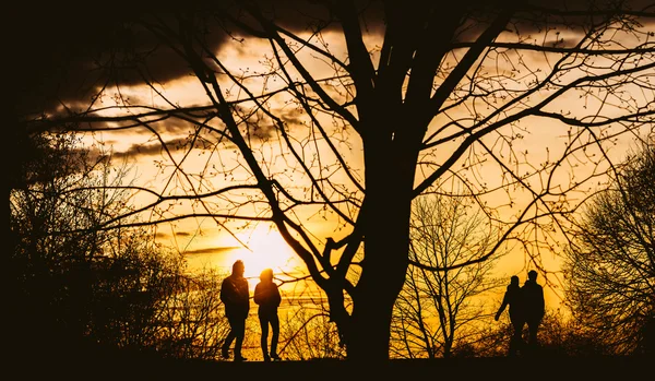 Menschen Silhouetten, Sonnenuntergang — Stockfoto