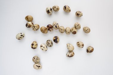 çiğ bıldırcın yumurtası