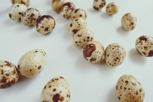 Raw quail eggs — Stock Photo, Image