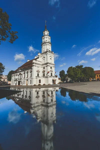 Mairie de Kaunas — Photo