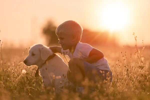 Jeune enfant garçon formation Golden Retriever chiot chien dans prairie le jour ensoleillé — Photo