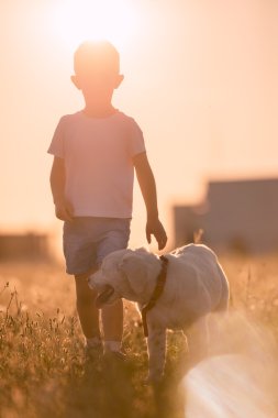Genç çocuk dostu yürüyüşler Golden Retriever köpek