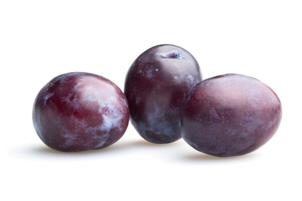 Three Plums | Damson Plum
