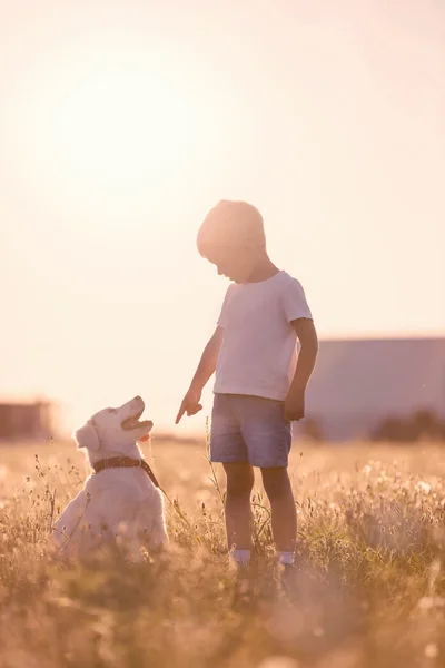 Bambino formazione cane cucciolo di sedersi a prati — Foto Stock