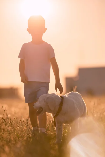 Kleiner Junge freundlich geht Golden Retriever Hund — Stockfoto