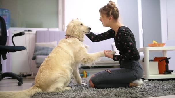 Mädchen Spielt Liebevoll Mit Hund Auf Dem Boden — Stockvideo