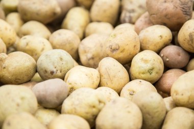Bir mağaza genç unpeeled patates 