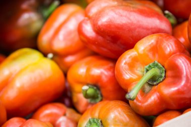 Taze kırmızı biber store üzerinde 