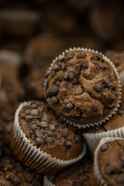 Çikolata parçaları ile birkaç çikolata muffins 