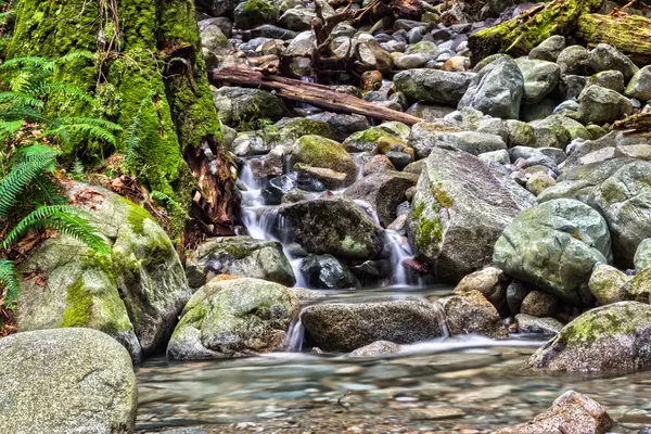 Cascate su un piccolo torrente nella foresta — Foto Stock