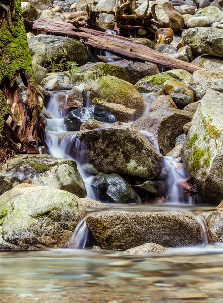 Cascatas em pequeno riacho na floresta — Fotografia de Stock