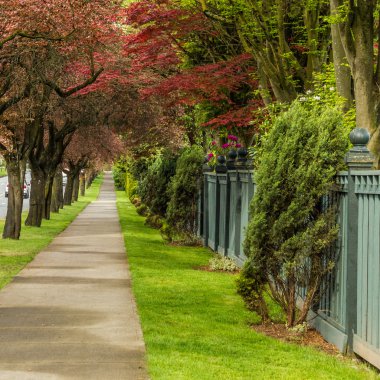 Kaldırım yol şehir