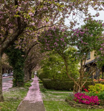 Kaldırım yol şehir