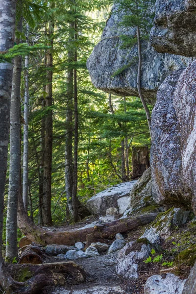 Мальовничі літніх Гірський туризм пейзажі Канади — стокове фото