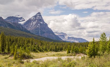 Sandalye andfoggy dağlar ve orman ile Kanada Banff Ulusal Parkı.