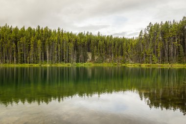 Herbert göller ile yansıma, ormanda. Banff National Park, Alberta, Kanada.