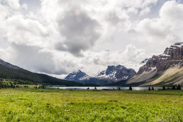 Pradera alpina con montañas resistentes en Alberta Canadá —  Fotos de Stock