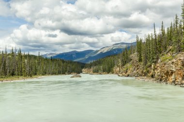 Jasper Milli Parkı Athabaska nehir Kanada