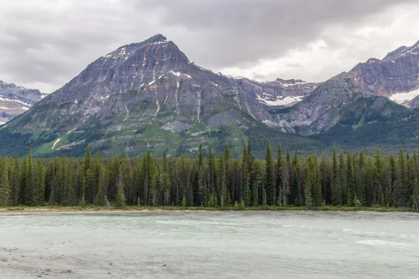 Athabaska rivier, het Nationaal Park Jasper in Alberta, Canada — Stockfoto