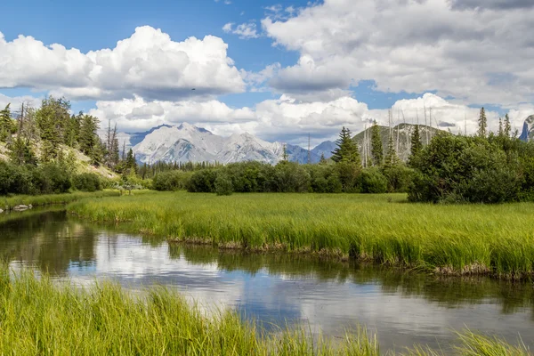 Güzel göl Vermilion dağlarda Banff Ulusal Parkı.