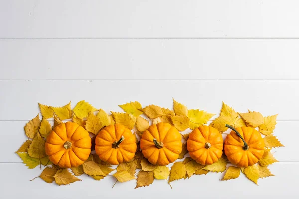 Groupe Citrouilles Sur Fond Bois Blanc Sur Des Feuilles Automne — Photo