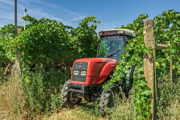 PENTICTON, CANADÁ - 02 DE AGOSTO DE 2020: Viña roja de pulverización de tractores en un día soleado — Foto de Stock